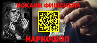 крисы Кулебаки
