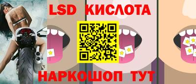 крисы Кулебаки