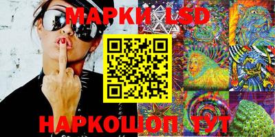 крисы Кулебаки