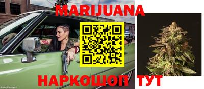 крисы Кулебаки