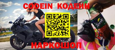 крисы Кулебаки