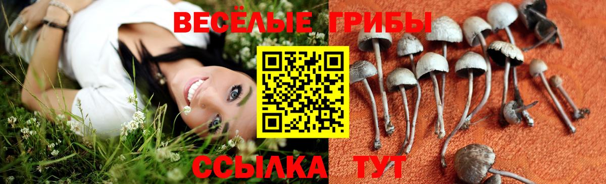 Псилоцибиновые грибы Magic Shrooms  цена   Армавир  Вход с VPN 